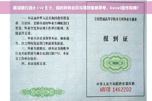 解读银行流水CSV合计，你的财务状况与理财策略思考，Excel操作指南?