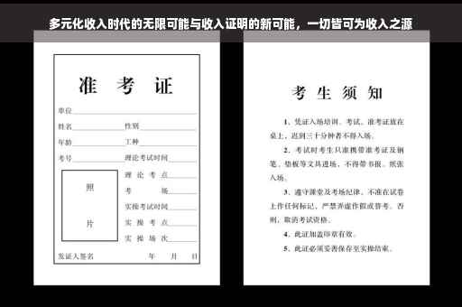 多元化收入时代的无限可能与收入证明的新可能，一切皆可为收入之源