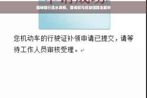 揭秘银行流水真相，查询权与权益保障全解析