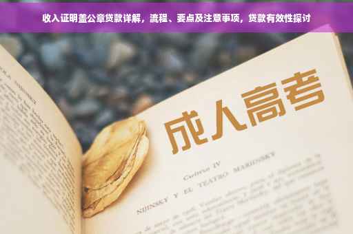 收入证明盖公章贷款详解，流程、要点及注意事项，贷款有效性探讨