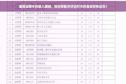 离婚证明中的收入揭秘，如何获取并评估对方的真实财务状况？