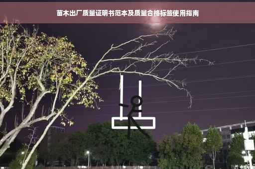 苗木出厂质量证明书范本及质量合格标签使用指南