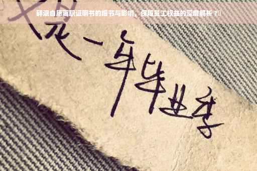辞退自愿离职证明书的细节与影响，保障员工权益的深度解析 ?✨