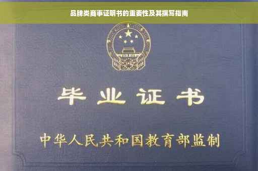 品牌类商事证明书的重要性及其撰写指南
