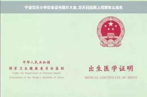 宁波华天小学毕业证书图片大全,华天科技网上招聘怎么报名