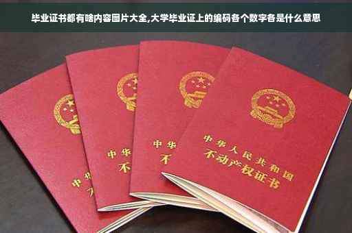 毕业证书都有啥内容图片大全,大学毕业证上的编码各个数字各是什么意思