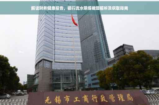解读财务健康报告，银行流水明细截图解析及获取指南