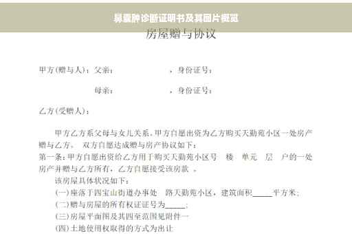 鼻囊肿诊断证明书及其图片概览