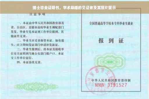 博士毕业证明书，学术巅峰的见证者及其图片展示