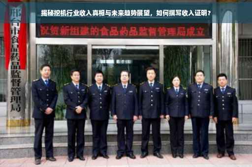 揭秘挖机行业收入真相与未来趋势展望，如何撰写收入证明？