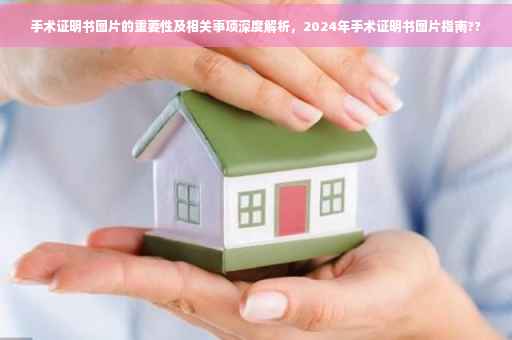 手术证明书图片的重要性及相关事项深度解析，2024年手术证明书图片指南??