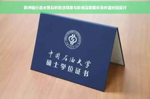 欧洲银行流水背后的经济现象与影响深度解析及所需时间探讨