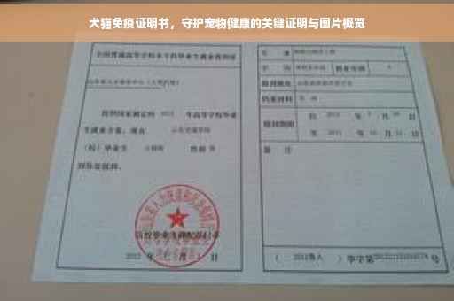 犬猫免疫证明书，守护宠物健康的关键证明与图片概览