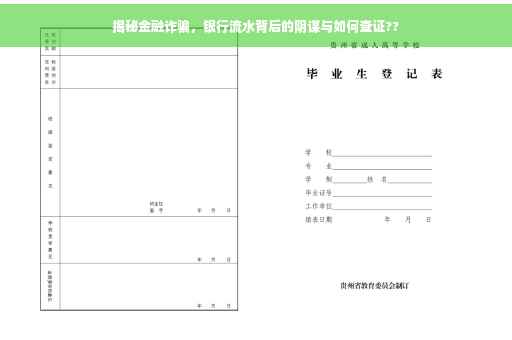 揭秘金融诈骗，银行流水背后的阴谋与如何查证??