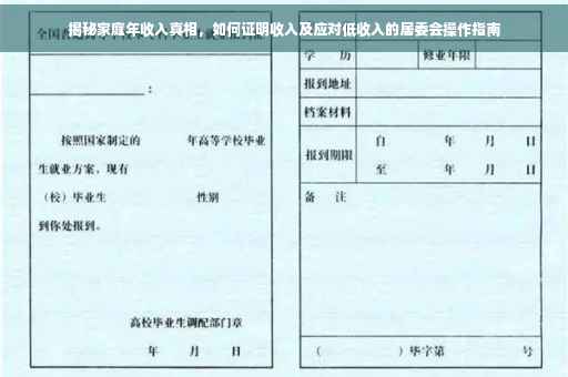 揭秘家庭年收入真相，如何证明收入及应对低收入的居委会操作指南