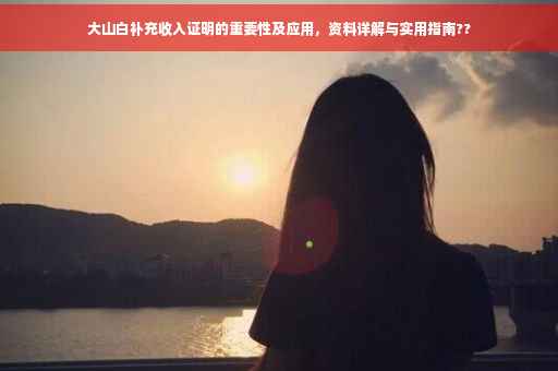 大山白补充收入证明的重要性及应用，资料详解与实用指南??