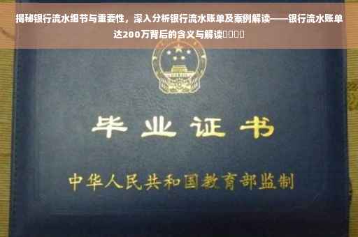 揭秘银行流水细节与重要性，深入分析银行流水账单及案例解读——银行流水账单达200万背后的含义与解读​​​​