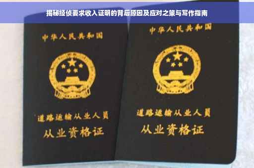 揭秘经侦要求收入证明的背后原因及应对之策与写作指南