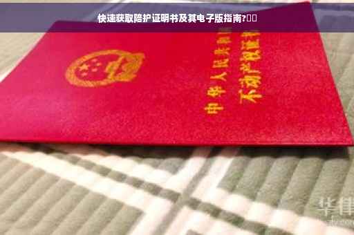 快速获取陪护证明书及其电子版指南?⚡️