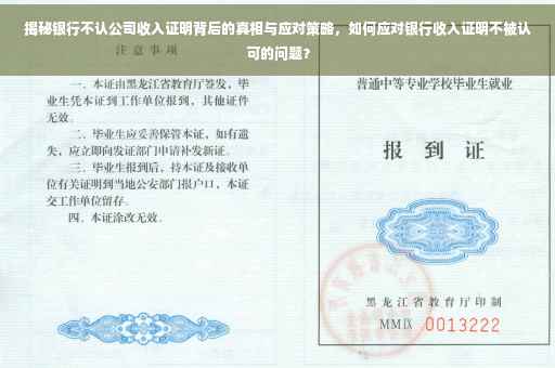 揭秘银行不认公司收入证明背后的真相与应对策略，如何应对银行收入证明不被认可的问题？