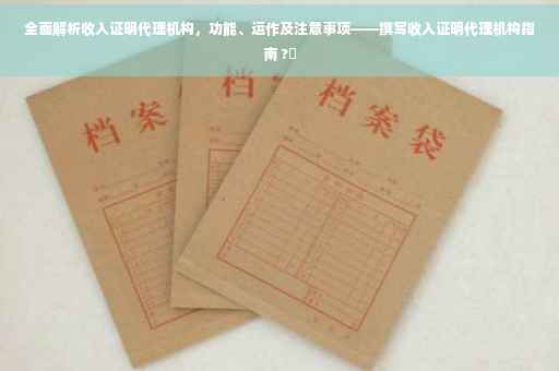 全面解析收入证明代理机构，功能、运作及注意事项——撰写收入证明代理机构指南 ?✨