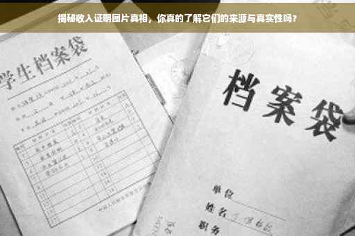 揭秘收入证明图片真相，你真的了解它们的来源与真实性吗？