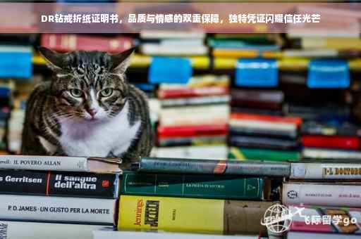 DR钻戒折纸证明书，品质与情感的双重保障，独特凭证闪耀信任光芒