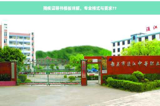 残疾证明书模板详解，专业格式与要求??