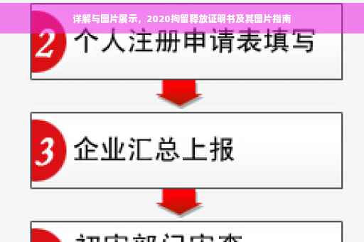 详解与图片展示，2020拘留释放证明书及其图片指南