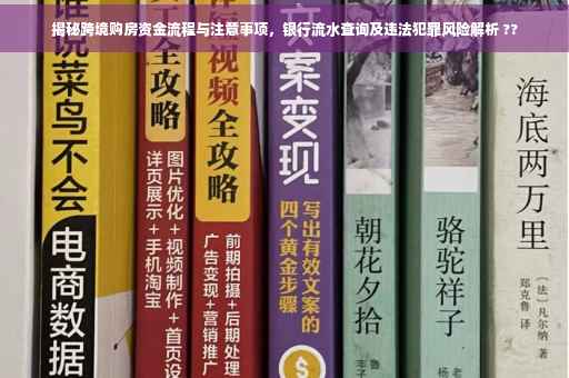 揭秘跨境购房资金流程与注意事项，银行流水查询及违法犯罪风险解析 ??