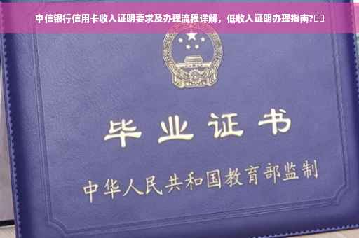 中信银行信用卡收入证明要求及办理流程详解，低收入证明办理指南?⚡️