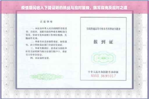 疫情期间收入下降证明的挑战与应对策略，撰写指南及应对之道