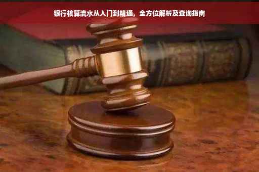 银行核算流水从入门到精通，全方位解析及查询指南