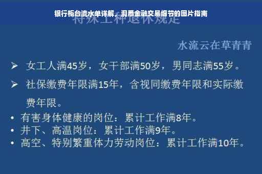 银行柜台流水单详解，洞悉金融交易细节的图片指南