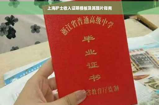 上海护士收入证明模板及其图片指南