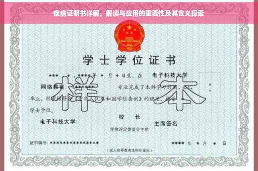 疾病证明书详解，解读与应用的重要性及其含义探索