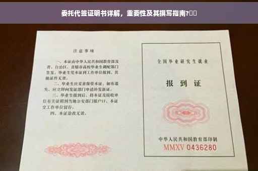 委托代签证明书详解，重要性及其撰写指南?⚡️