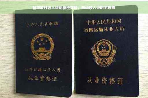 新加坡月收入证明模板详解，签证收入证明全攻略