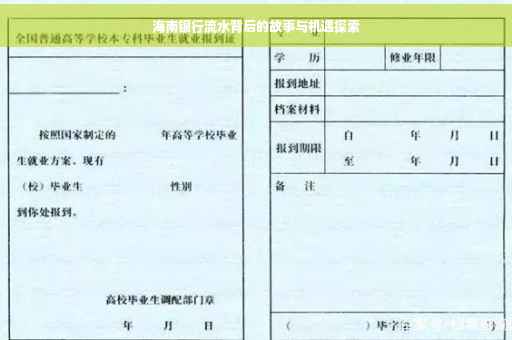 海南银行流水背后的故事与机遇探索