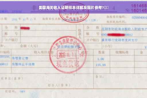 美国海关收入证明样本详解及图片参考?⚡️