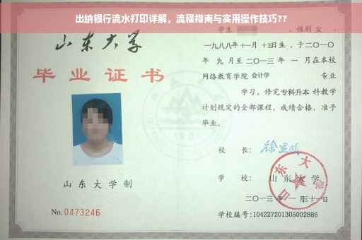 出纳银行流水打印详解，流程指南与实用操作技巧??