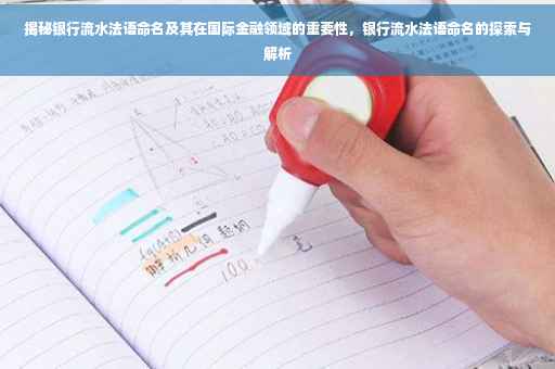 揭秘银行流水法语命名及其在国际金融领域的重要性，银行流水法语命名的探索与解析