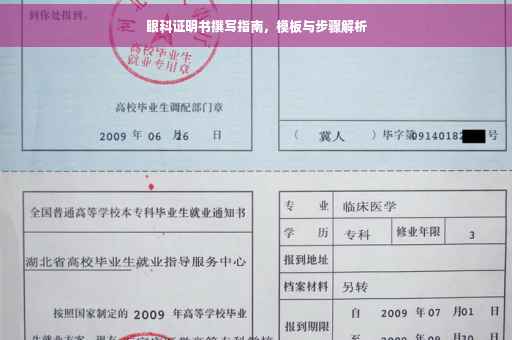眼科证明书撰写指南，模板与步骤解析