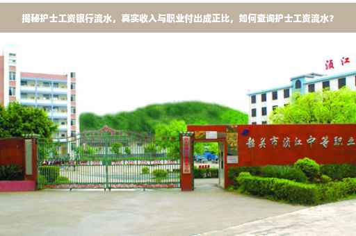 揭秘护士工资银行流水，真实收入与职业付出成正比，如何查询护士工资流水？