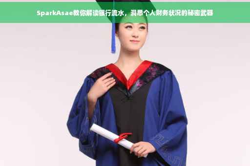 SparkAsae教你解读银行流水，洞悉个人财务状况的秘密武器
