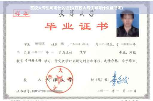 在校大专生可考什么证书(在校大专生可考什么证书呢)