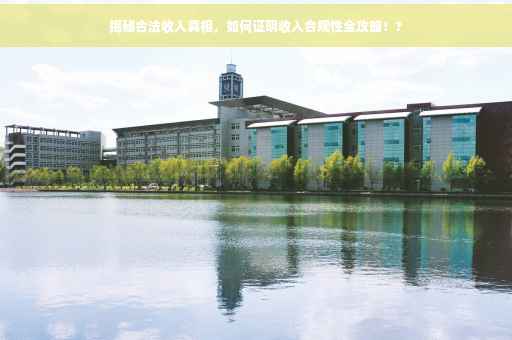 揭秘合法收入真相，如何证明收入合规性全攻略！?