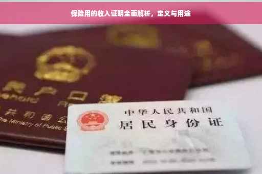 保险用的收入证明全面解析，定义与用途