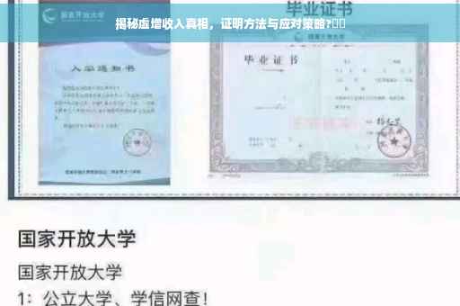 揭秘虚增收入真相，证明方法与应对策略?⚡️