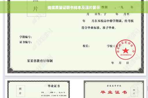 线缆质量证明书样本及图片展示